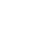 BUSHI